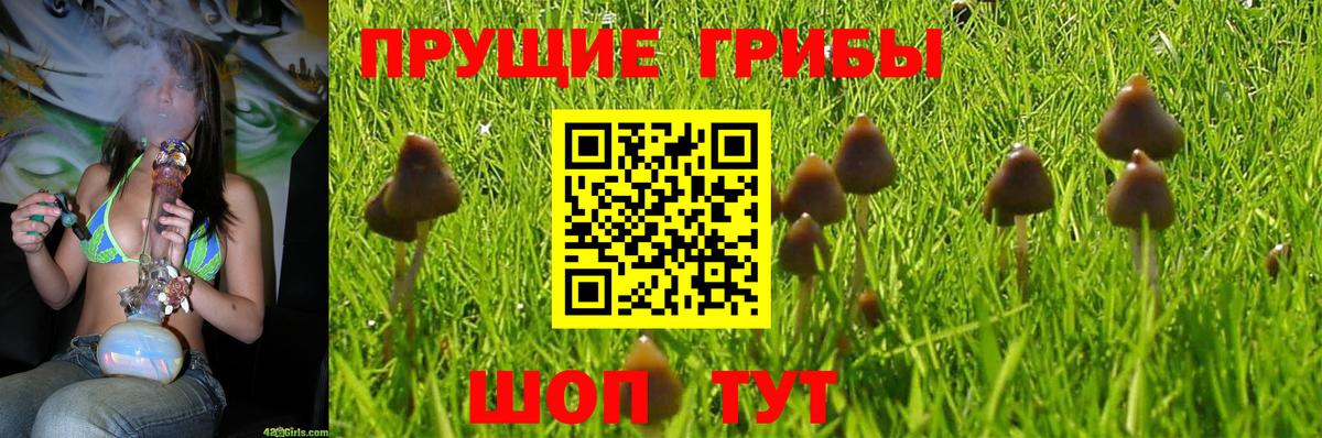 Галлюциногенные грибы мухоморы  Вход с VPN  Артёмовский 
